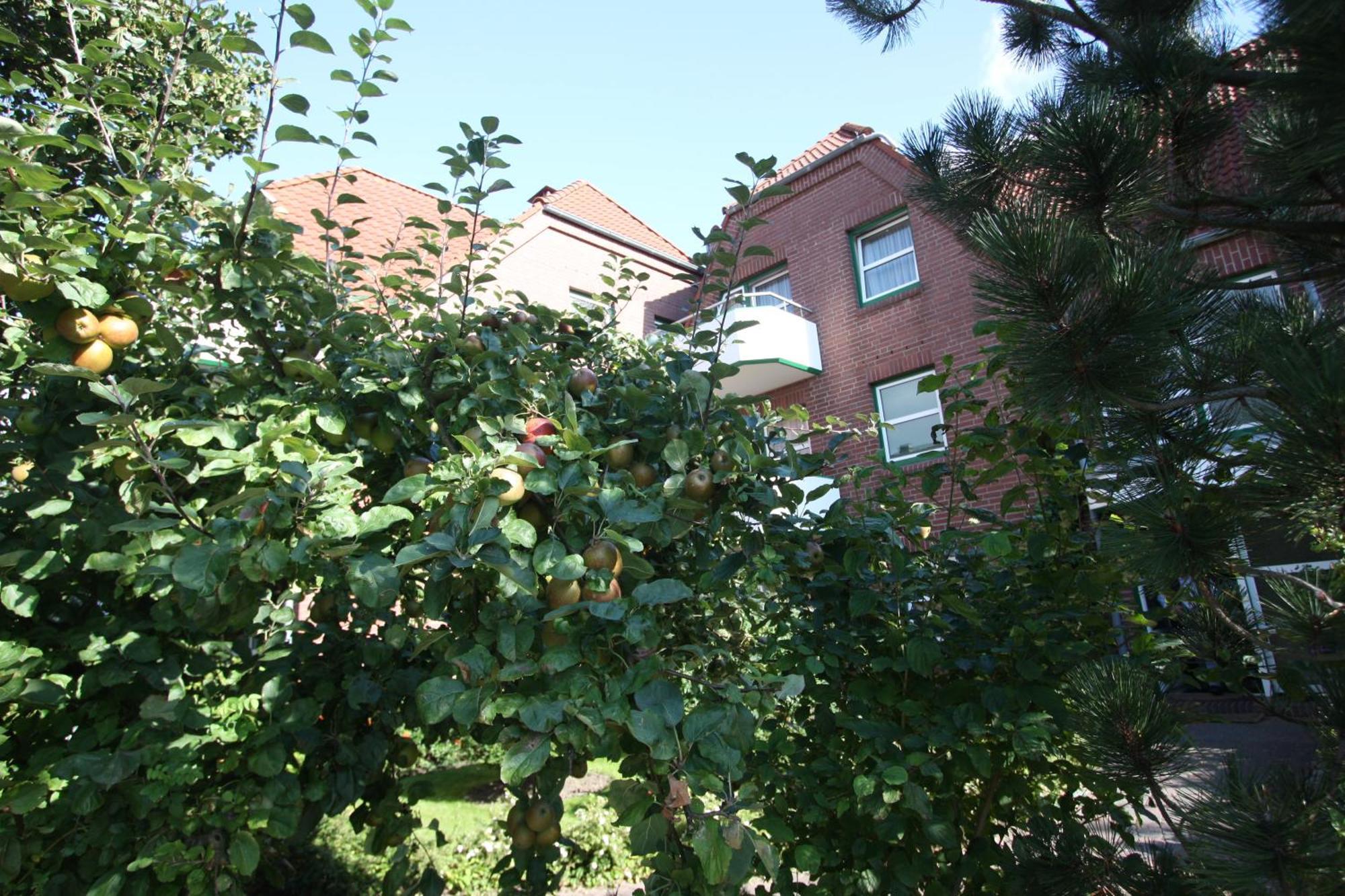 Apartmenthaus Hollaenderei Büsum Dış mekan fotoğraf